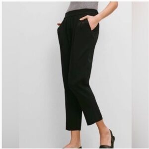 Aritzia Babaton Cohen Pants